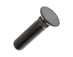 Alloy C2000 Plow Bolts